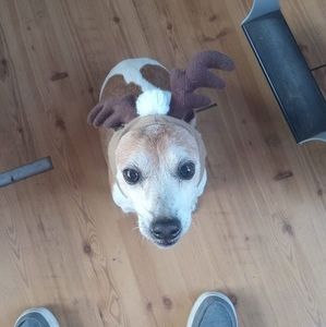 Meet your Posher, Holly